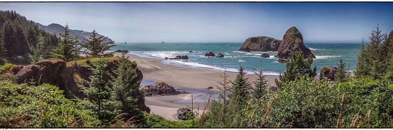 Pacific Ocean banner