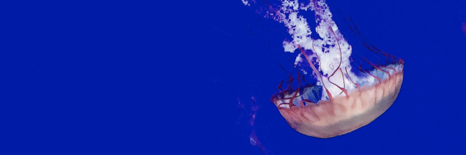 Bud718's profile banner image