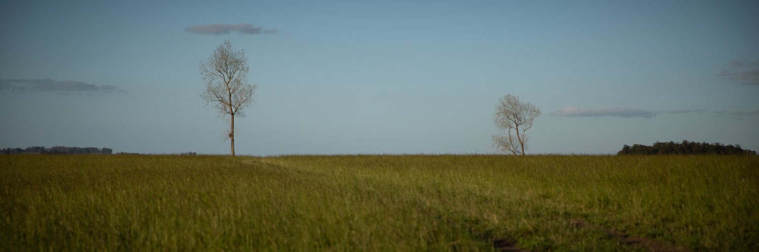 barbobolso's profile banner image
