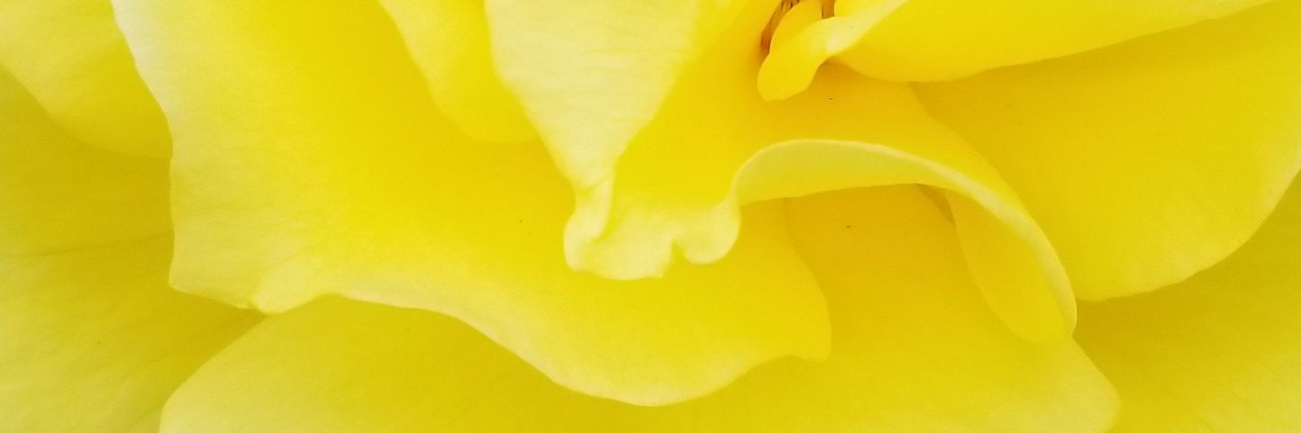 Doreenah's profile banner image