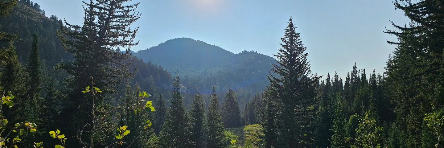 petearthur428's profile banner image
