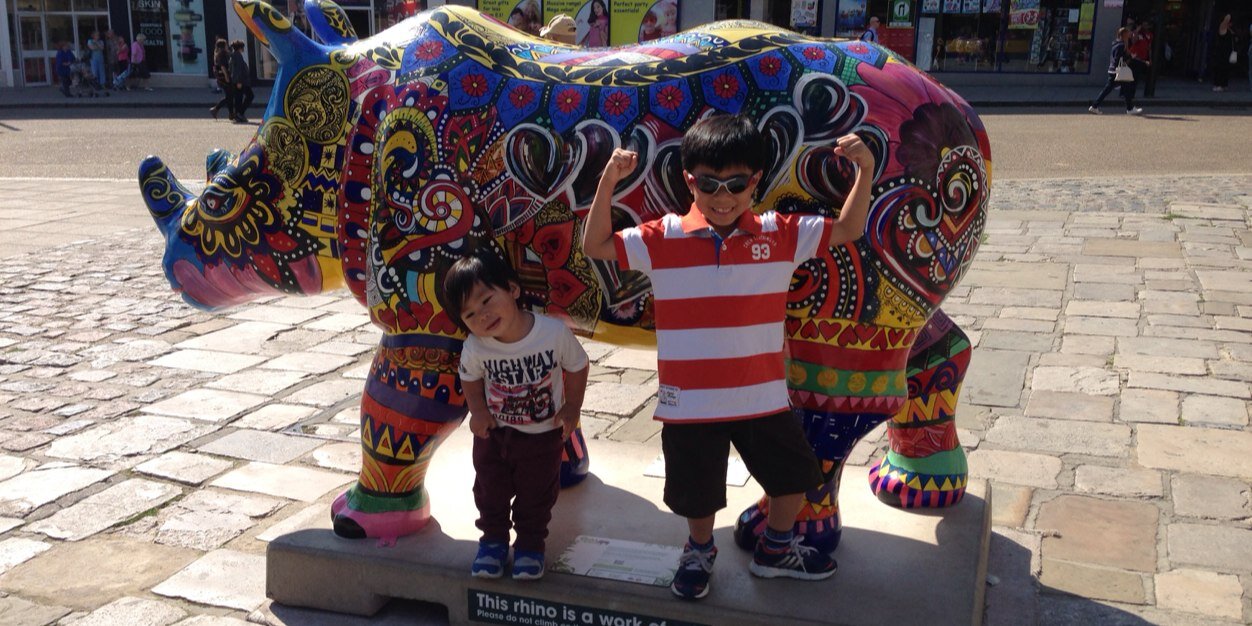 Ulysses sayson banner