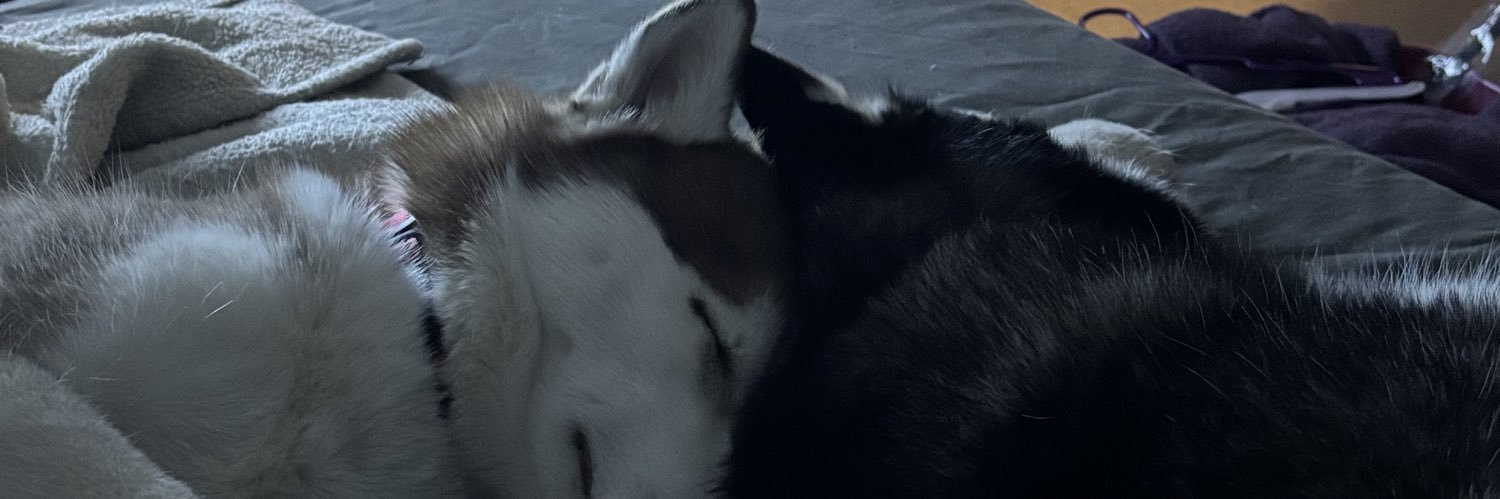 katybug224's profile banner image