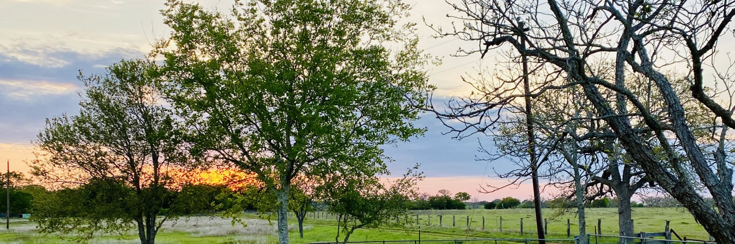 delanne117's profile banner image