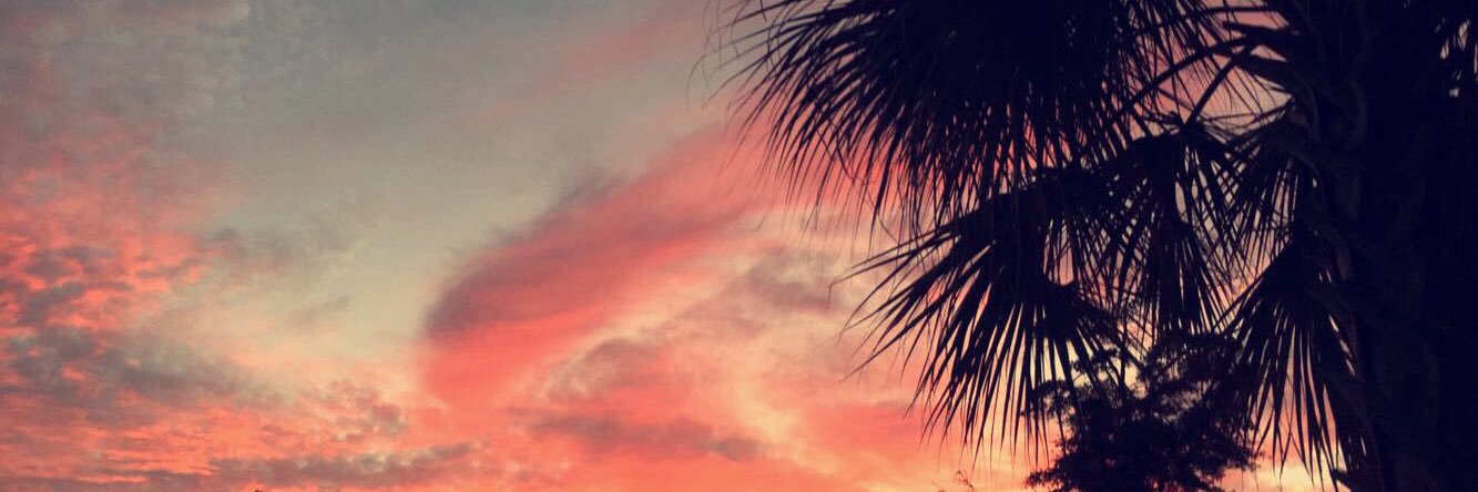 nixon_temple's profile banner image