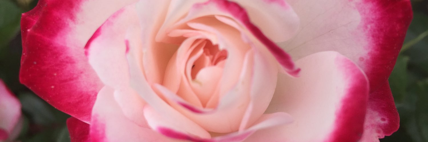 D_Liberato1's profile banner image