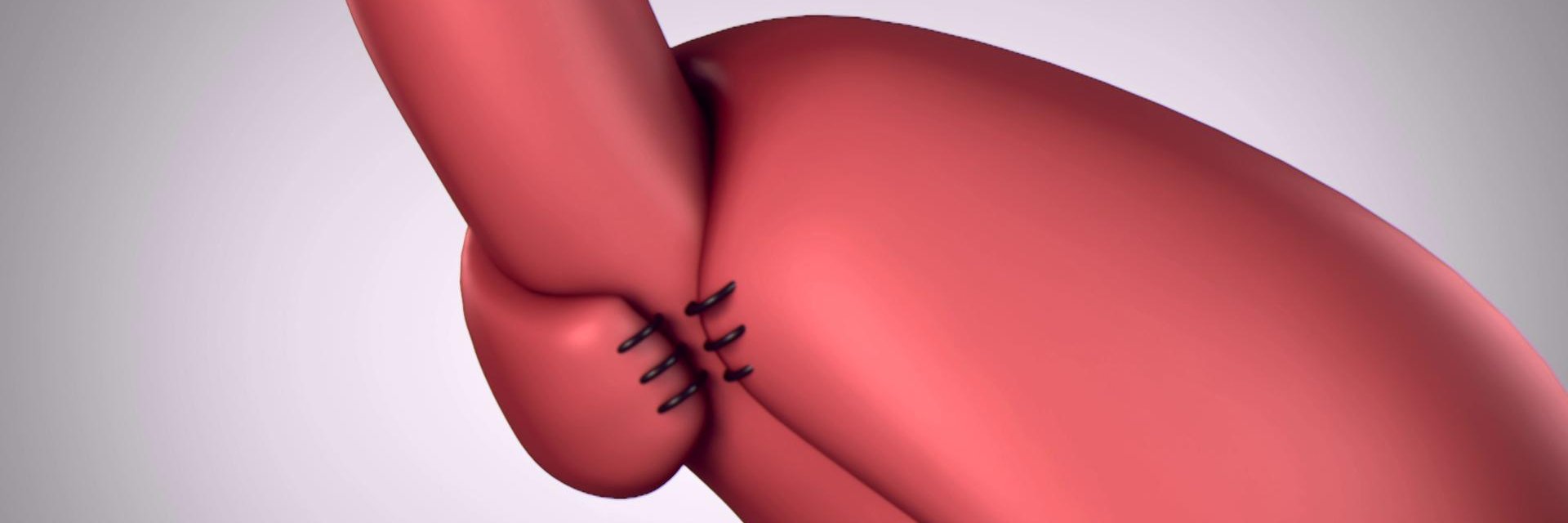 Omaira Rodriguez G banner