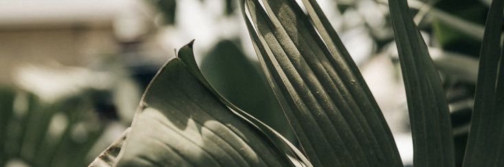 GleyceLenis's profile banner image
