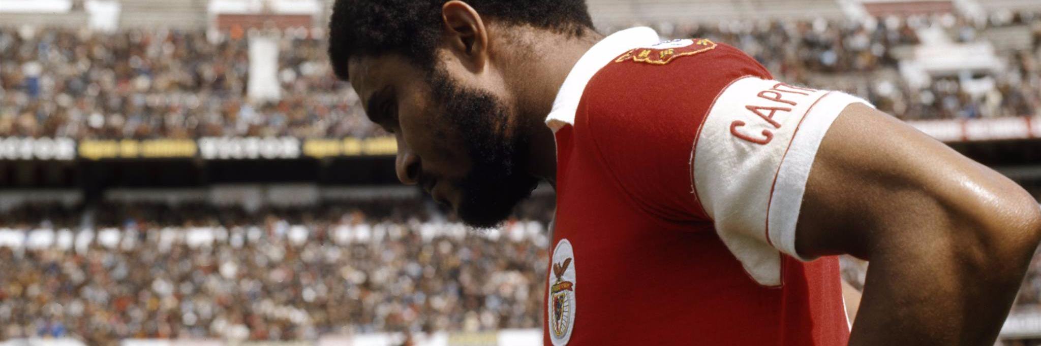 João Duarte banner