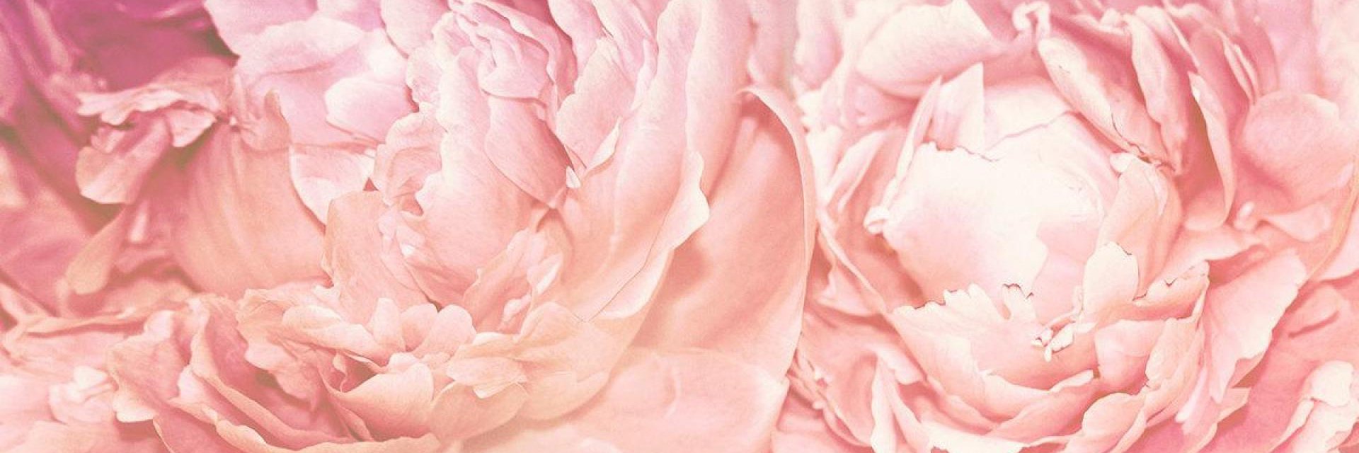 tamaratronn's profile banner image