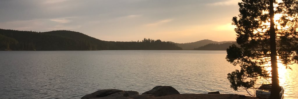 metsfanatic20's profile banner image