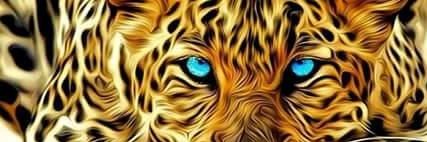 El Vallenato banner