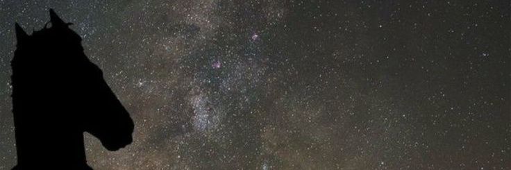 MaickSerratos's profile banner image