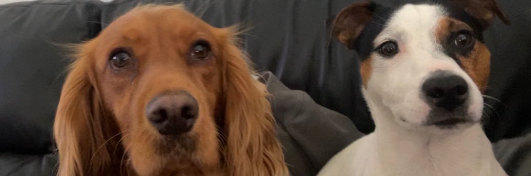 NicoleAndrewsx's profile banner image