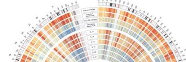 Heiko__Becker Profile Banner