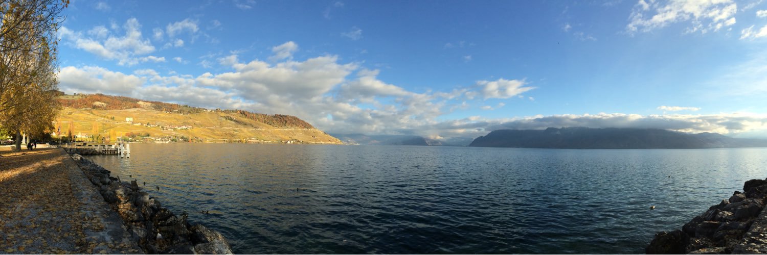 Guillaume Witz banner