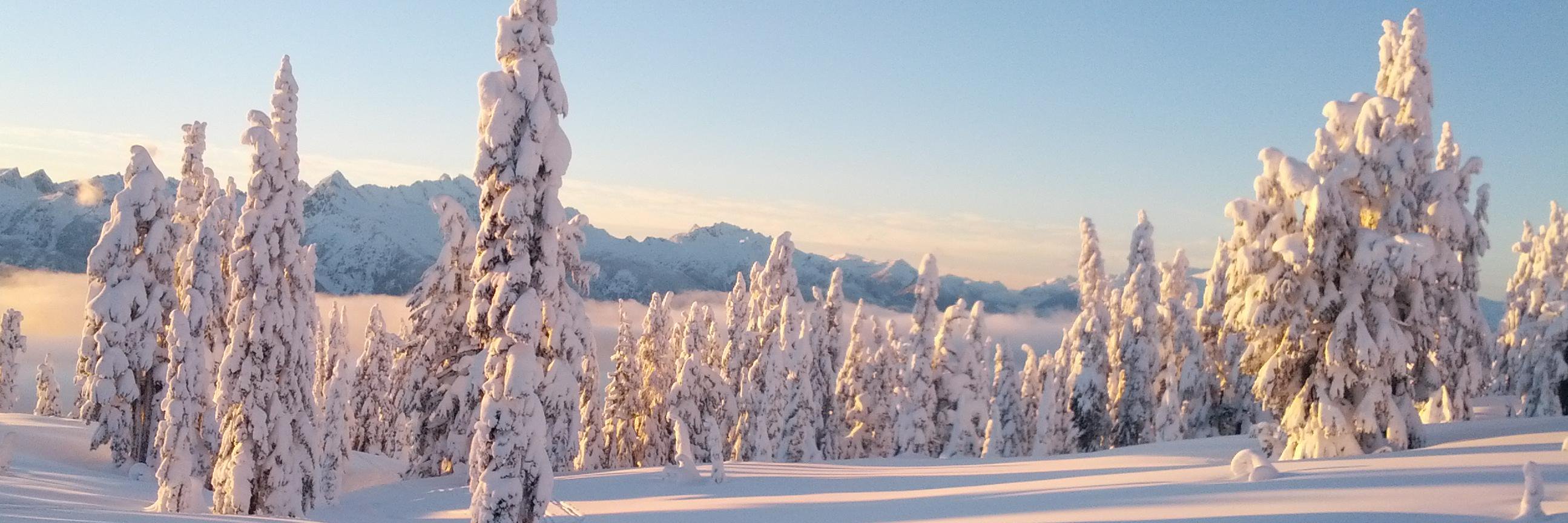 BCTravelGuide's profile banner image