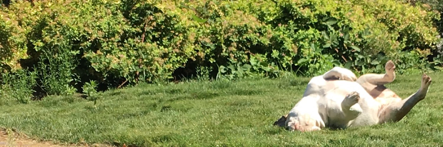 jolly_nihilist's profile banner image