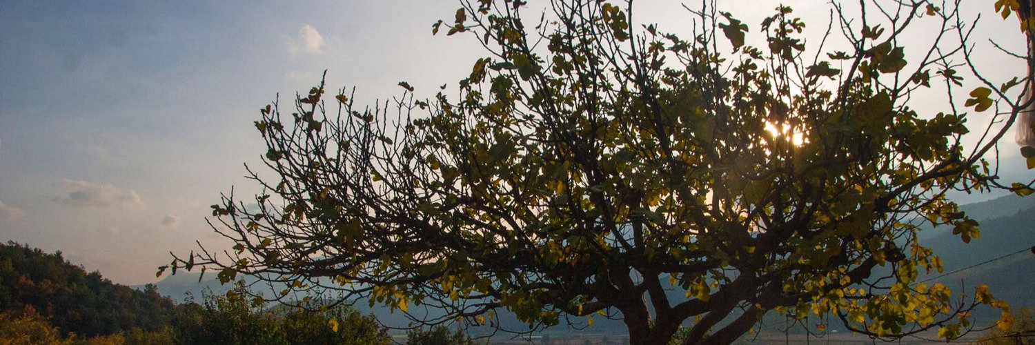 lvale40's profile banner image