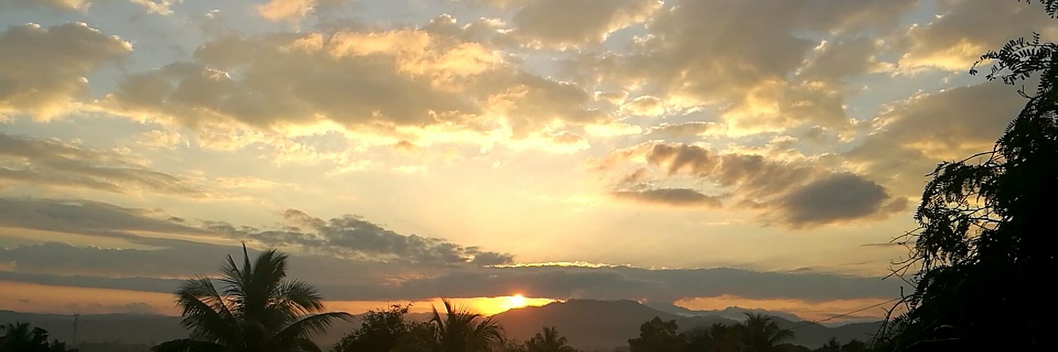 quezada_thania's profile banner image