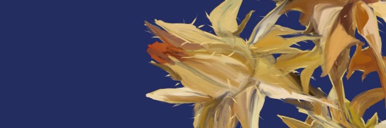 omr2mr's profile banner image