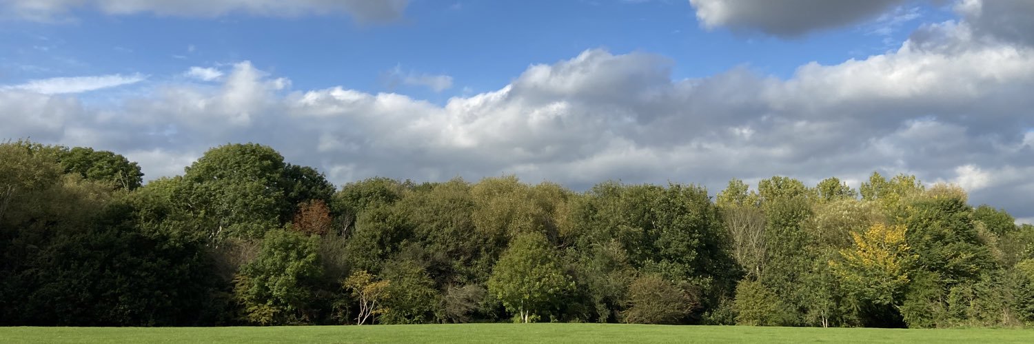 MrsSianAnderson's profile banner image