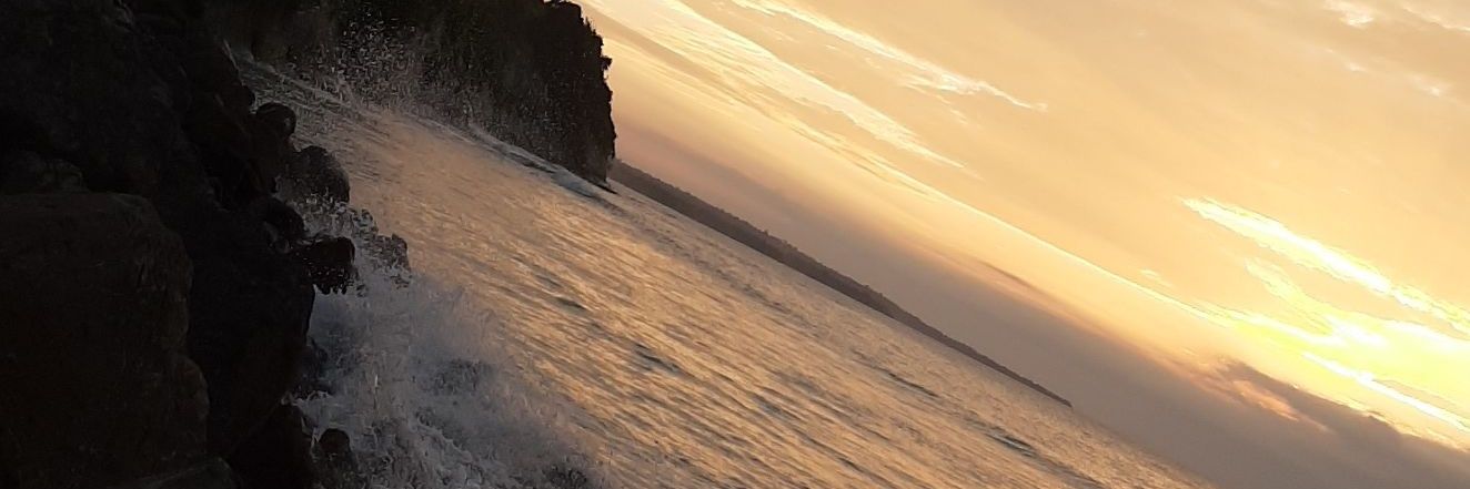 MishuFeick's profile banner image