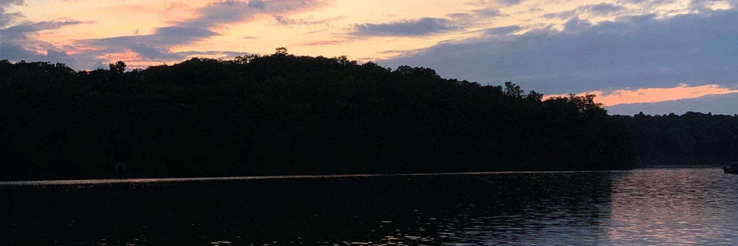 pamascari's profile banner image