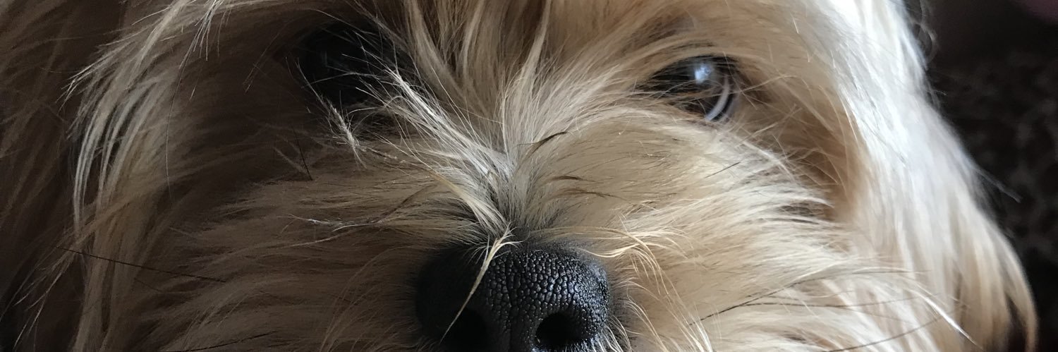 0718Ron's profile banner image