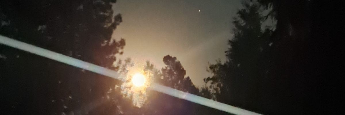 jenn1978's profile banner image