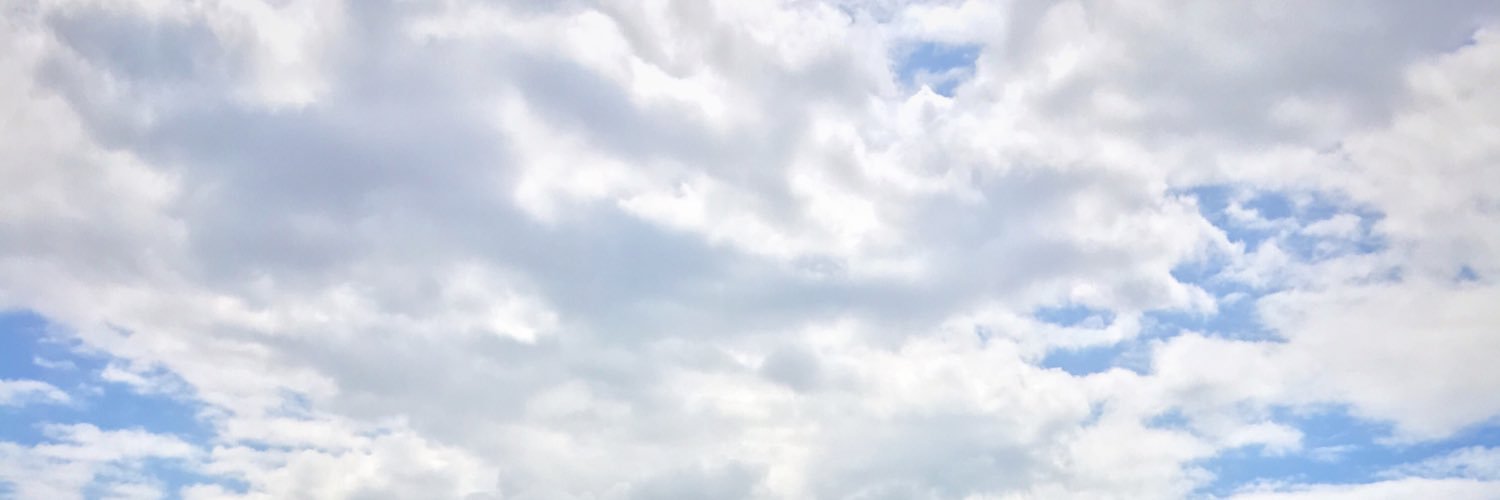junewee's profile banner image
