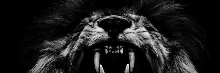 cragg2345's profile banner image