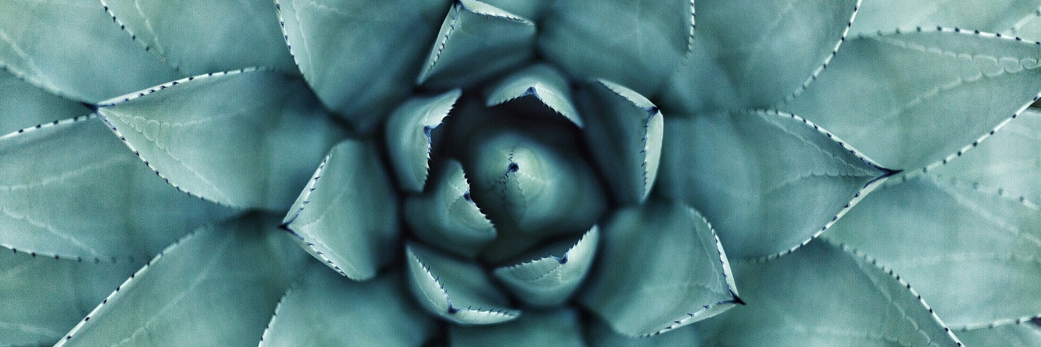 Juan Jose Potti banner