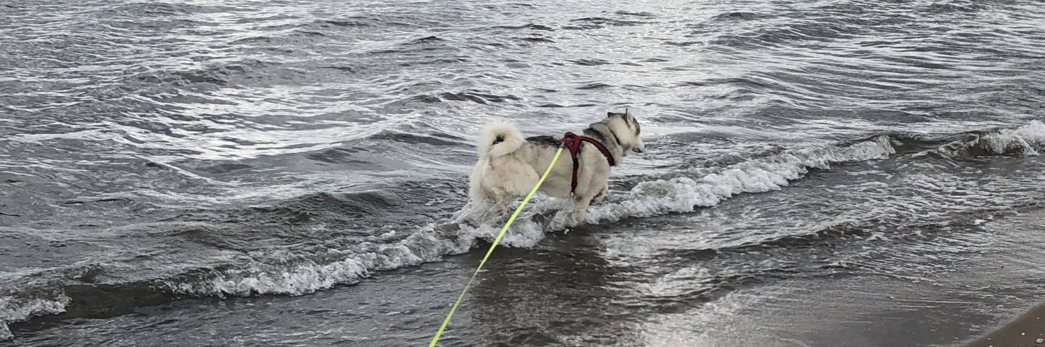 Donna Burwell banner