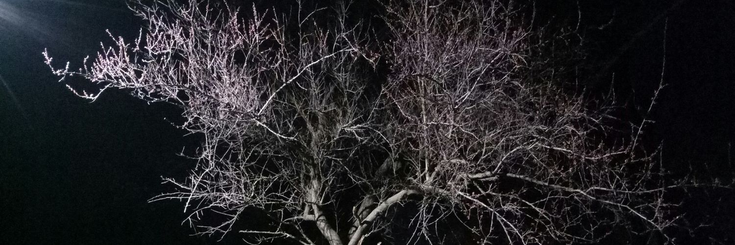 JSemikov's profile banner image