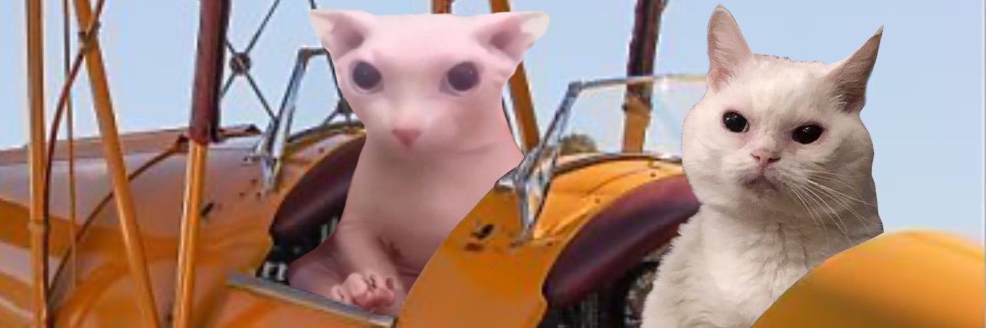 mycelio_'s profile banner image