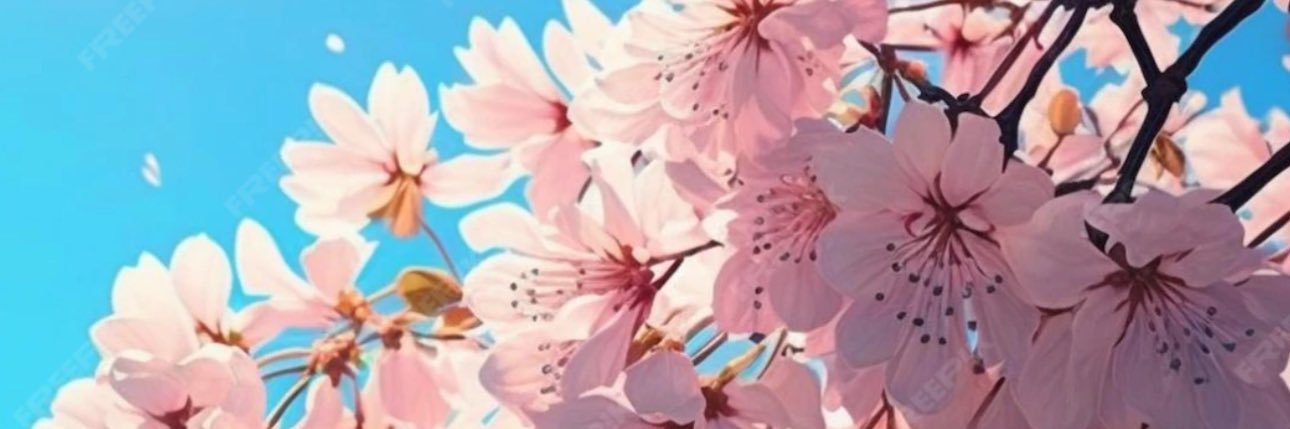 javierjesi's profile banner image