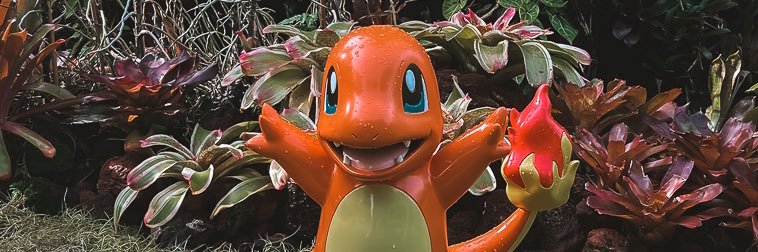 Charsammander's profile banner image