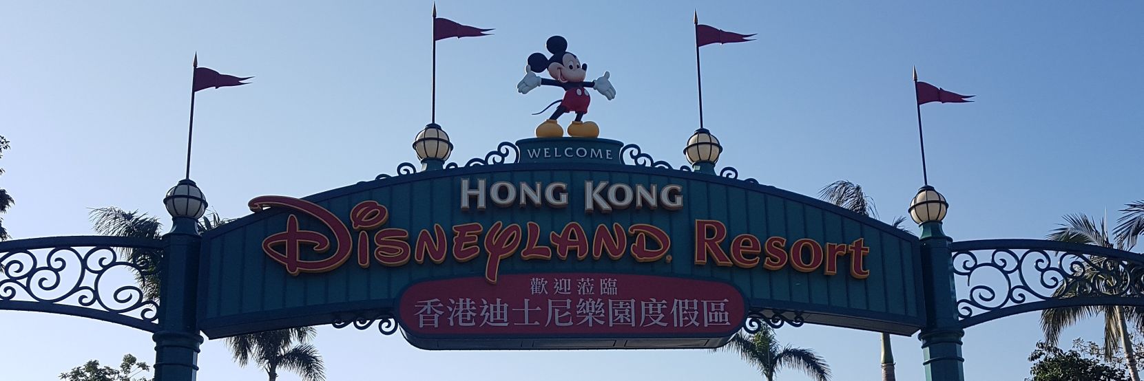 Michael Sexton banner