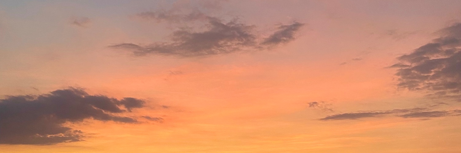 casiesilverman's profile banner image