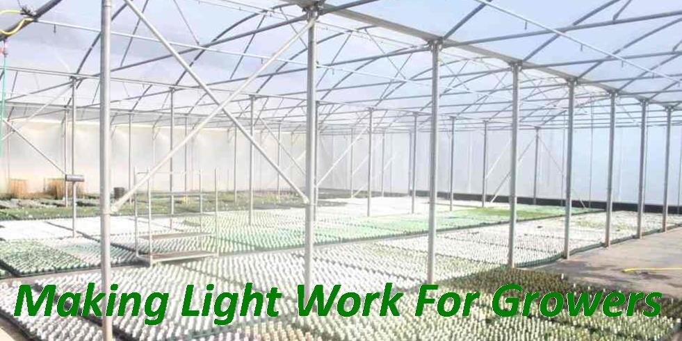 XLHorticulture's profile banner image