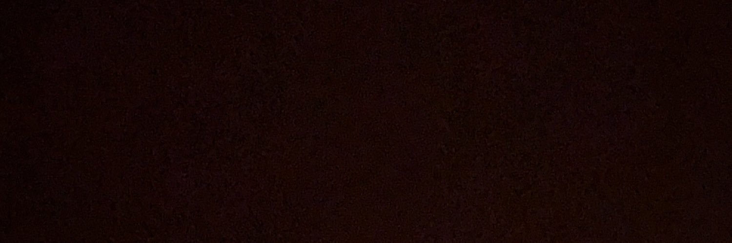 LUL_USF's profile banner image