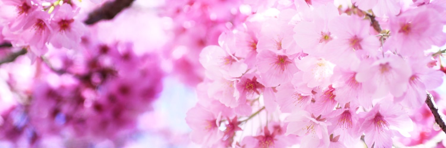 junchawo's profile banner image