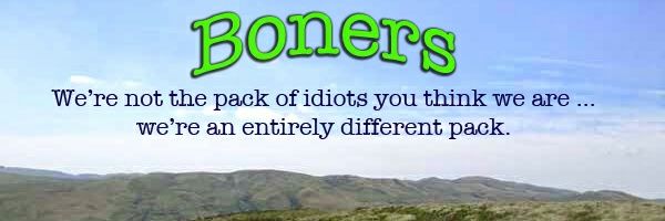 Steve 🇪🇺 🕷️🚵🧗‍♂️ banner