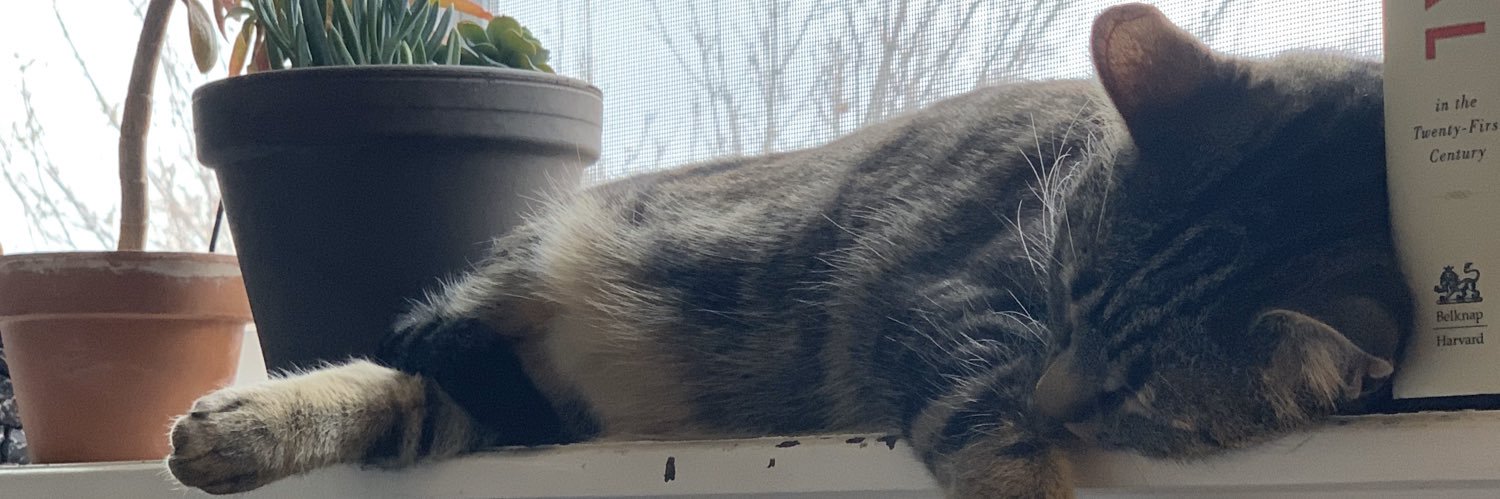 emlovecats's profile banner image