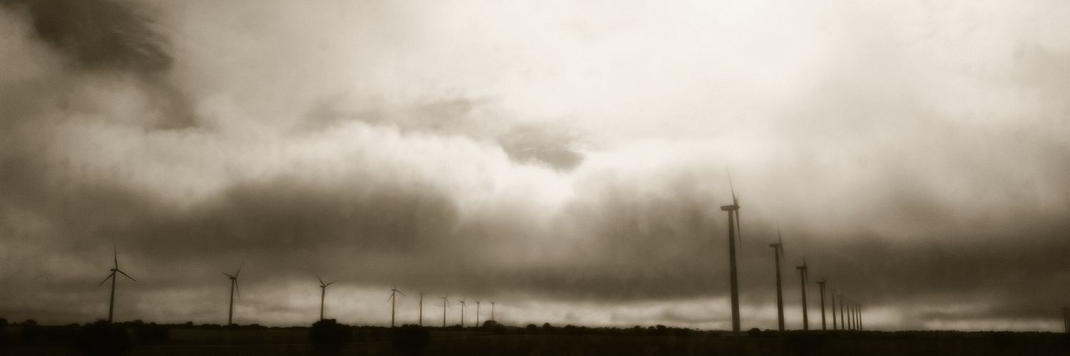 alicepani's profile banner image