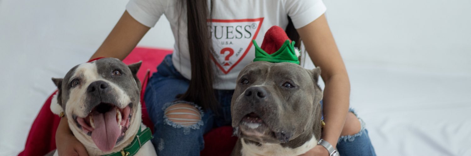 AnndreaLopez's profile banner image
