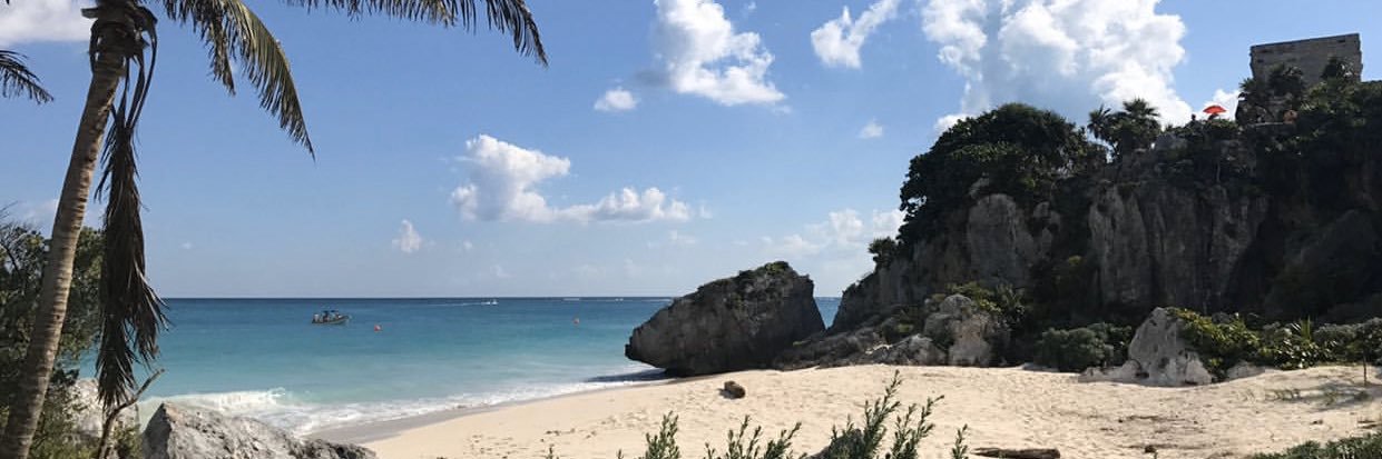 Stephy_Snaps's profile banner image