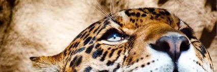 powerhfh's profile banner image