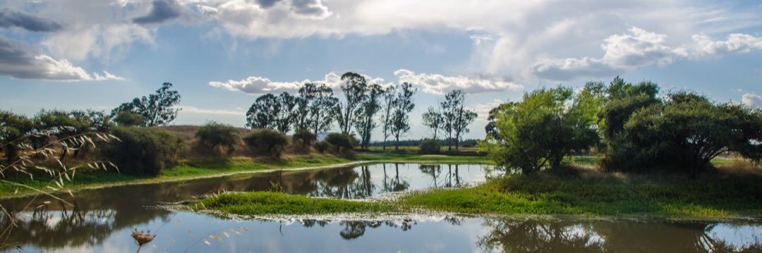 fuentescorp's profile banner image